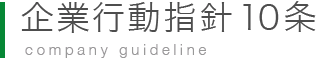 company guideline